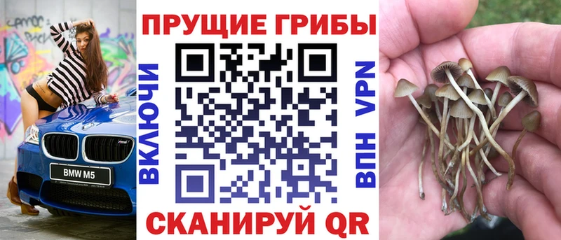 Галлюциногенные грибы MAGIC MUSHROOMS  Купить где  Перевоз 